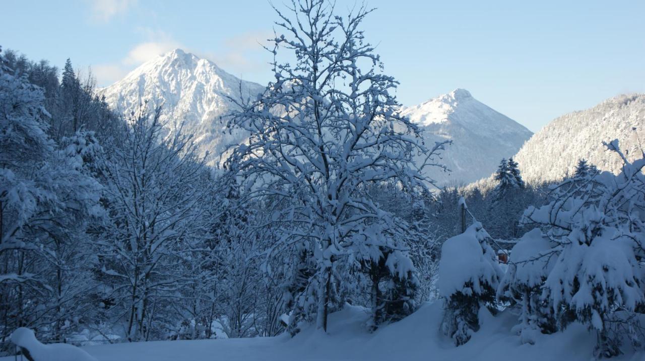 Ferienhaus Weiss, Sandra Weiss Füssen Buitenkant foto
